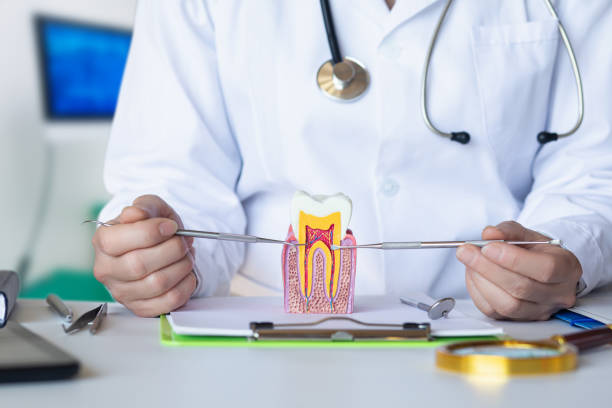 Best Emergency Dental Care for Sports Injuries in South Boston, VA